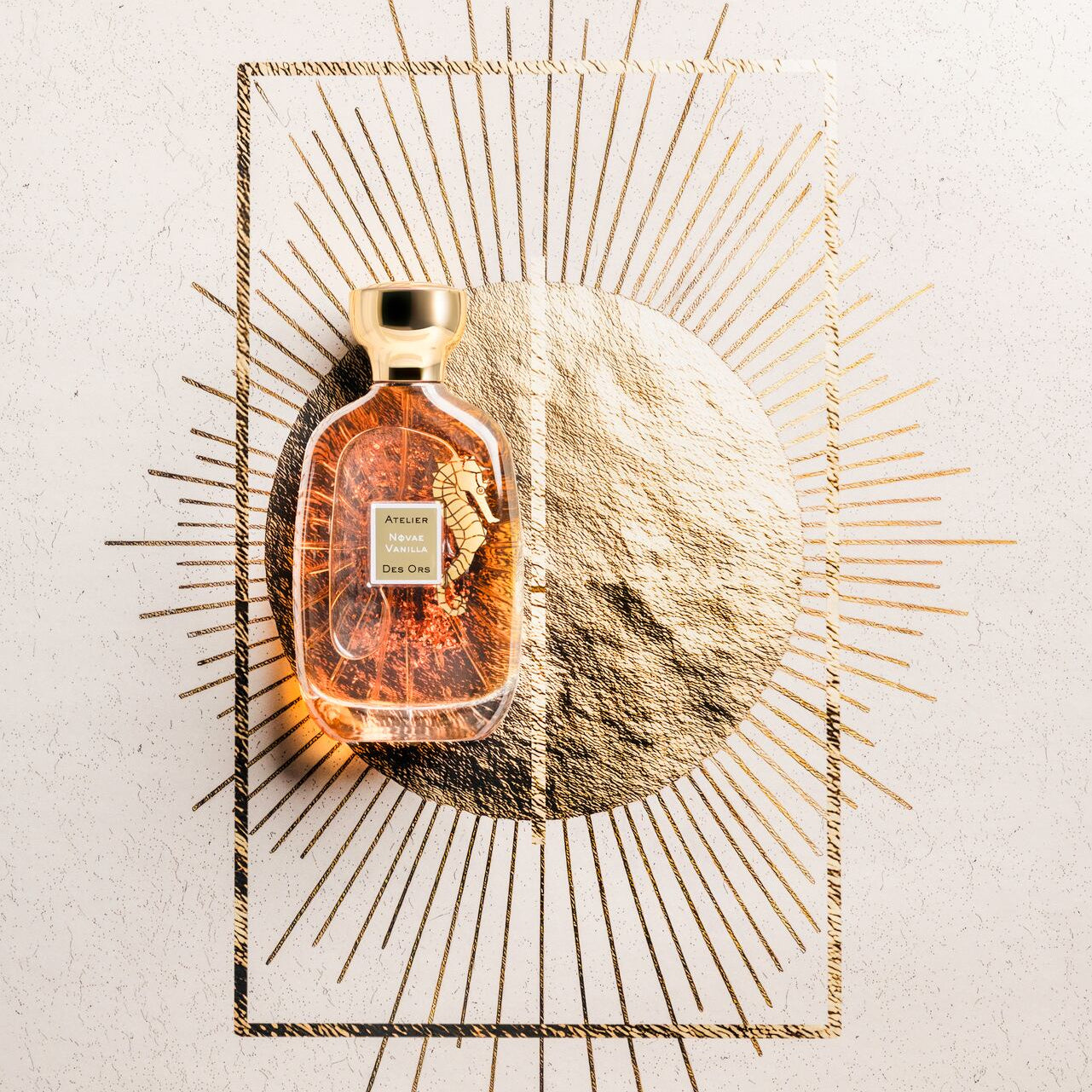 Novae Vanilla