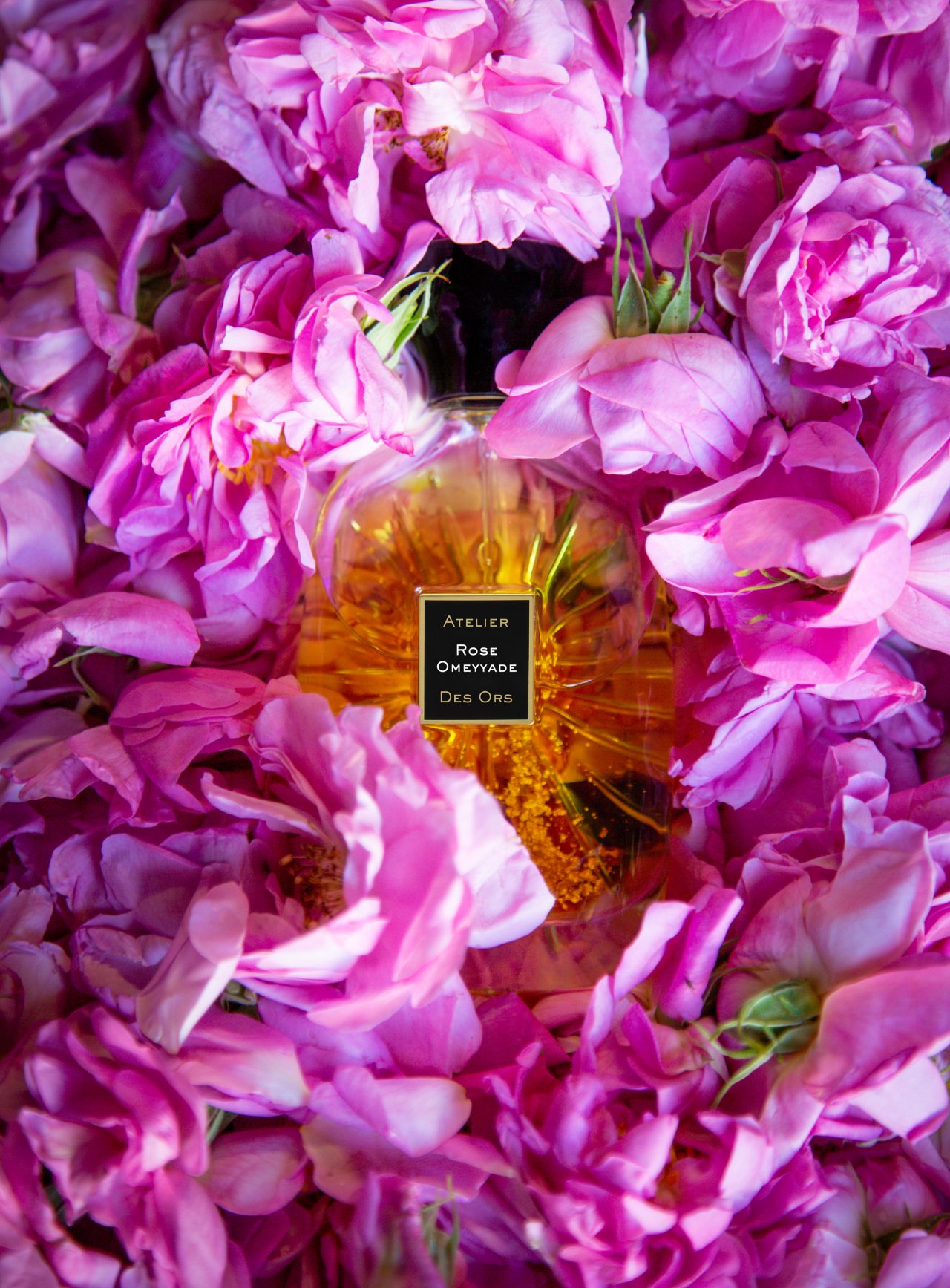 LE DOUX PARFUM DE LA ROSE CENTIFOLIA - Atelier Des Ors